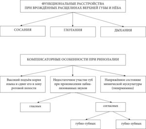 Важнейшим этапом работы является диагностика, позволяющая выявить степень выраженности ринолалии и сопутствующие нарушения и компенсаторные механизмы (рисунок).